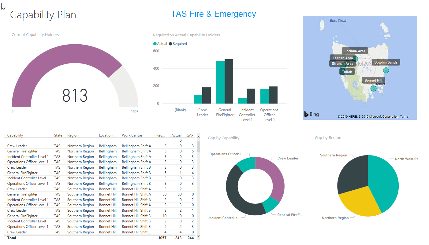 CapabiityDashboard