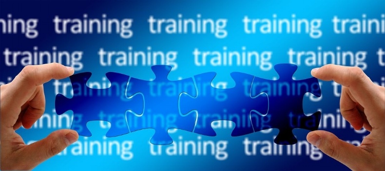 hands-holding-blue-jigsaw-pieces-over-background-words-signifying-training-management-systems